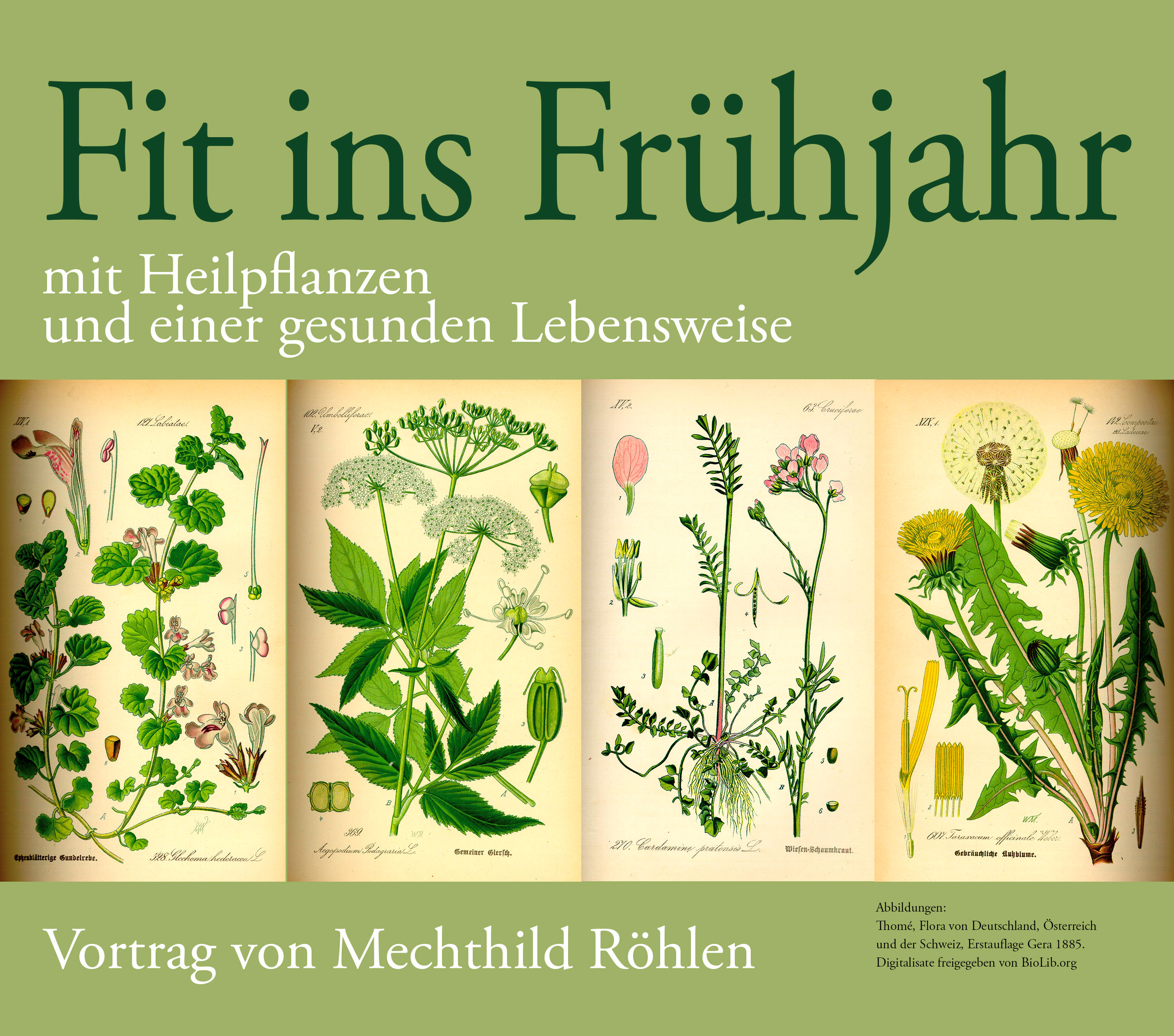 Standardwerk von Thomé aus dem Jahr 1885, Freigabe.: BioLib.org, Fotomontage: Holger Martsch