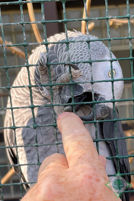 Eingang zum Weltvogelpark Walsrode img1